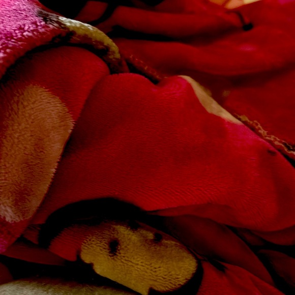 Do not purchase - Picture 1 of 1